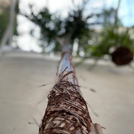 Tufoletto Apartment Palermo Dış mekan fotoğraf